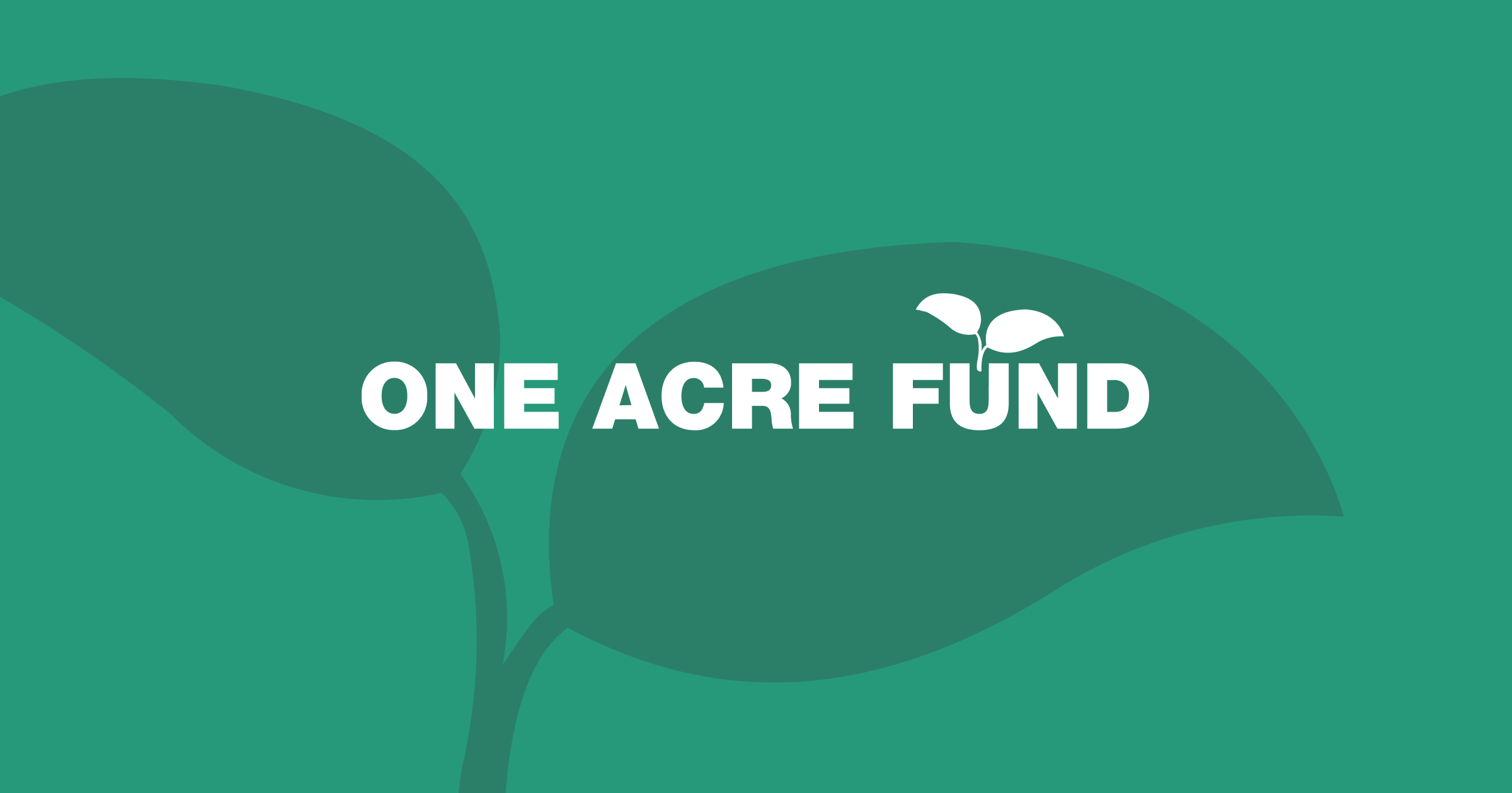 One acre fund. Client